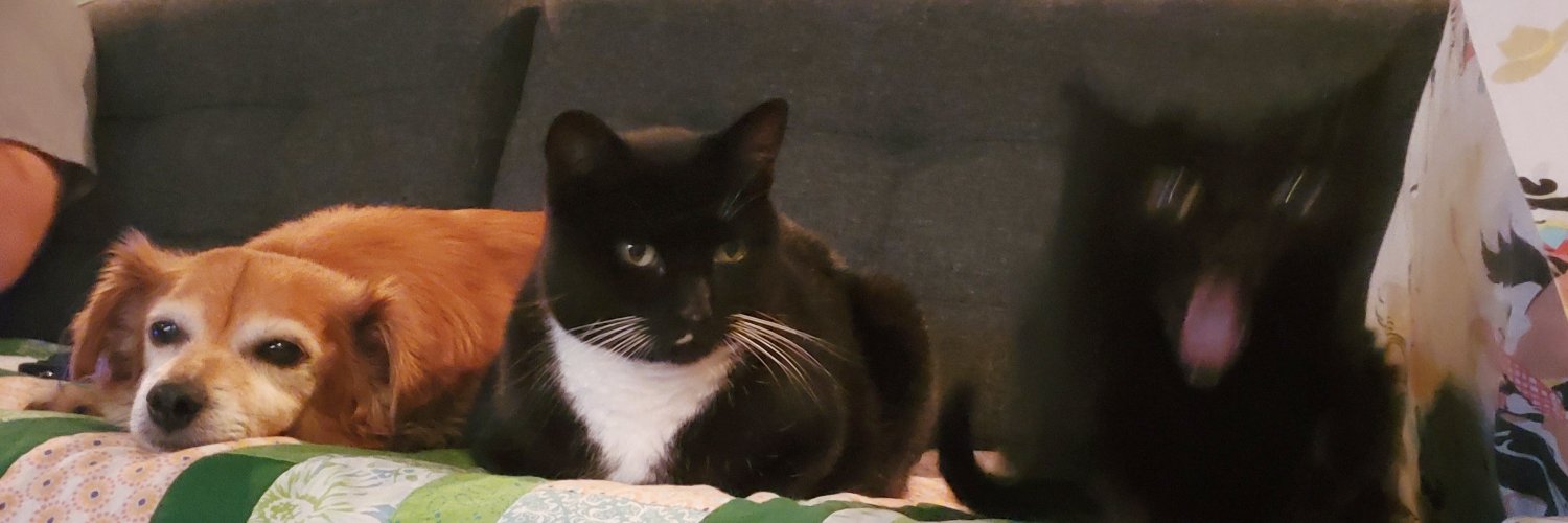 BrackenScott's profile banner image