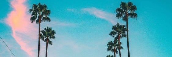 HanLivernois's profile banner image