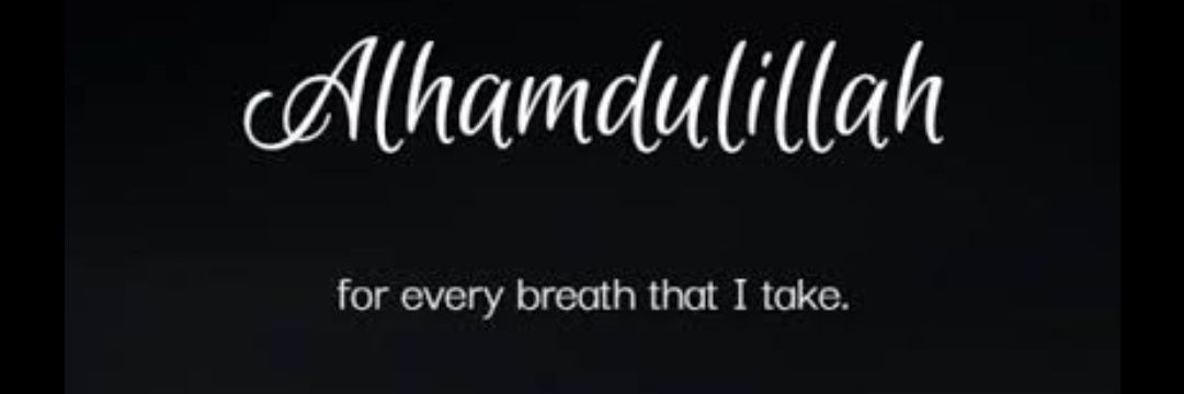 ZohaTaqdees's profile banner image