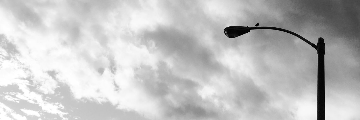 mandimemedia's profile banner image