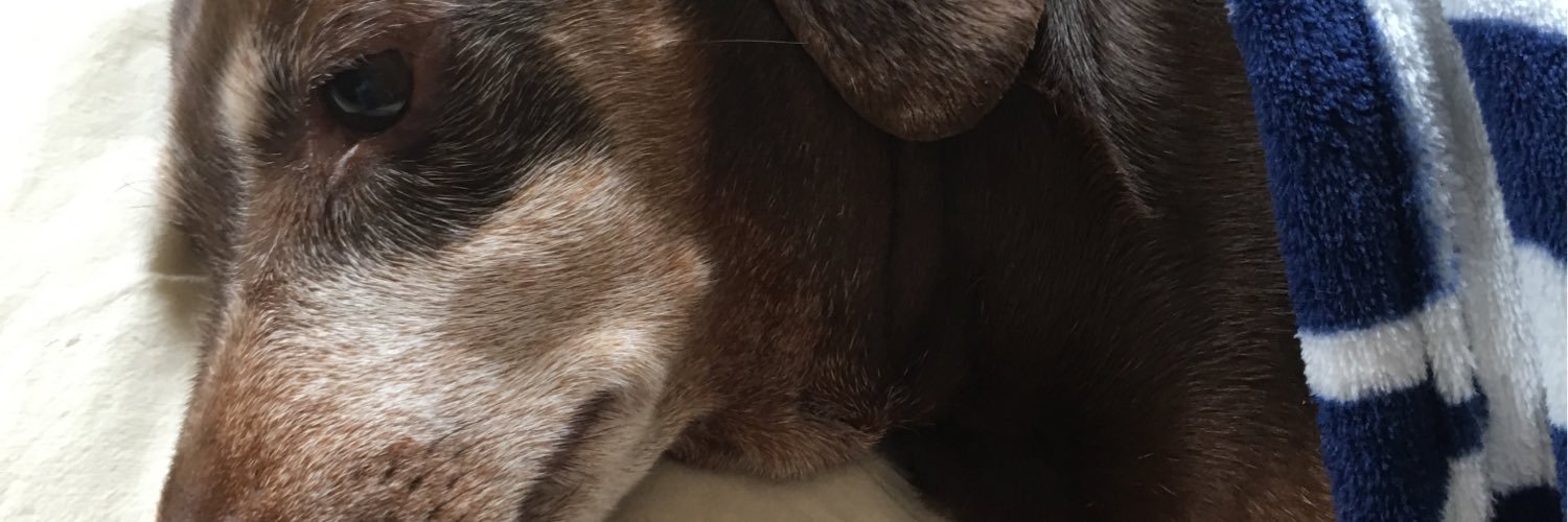 AlexBra34437704's profile banner image