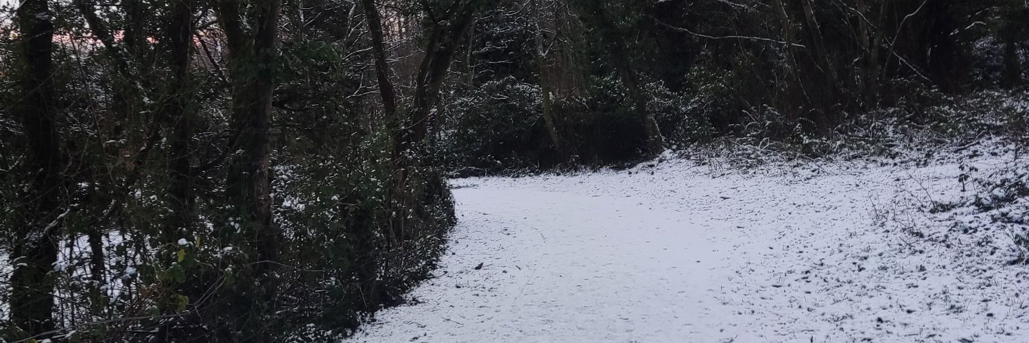 ChrisPatNewman's profile banner image