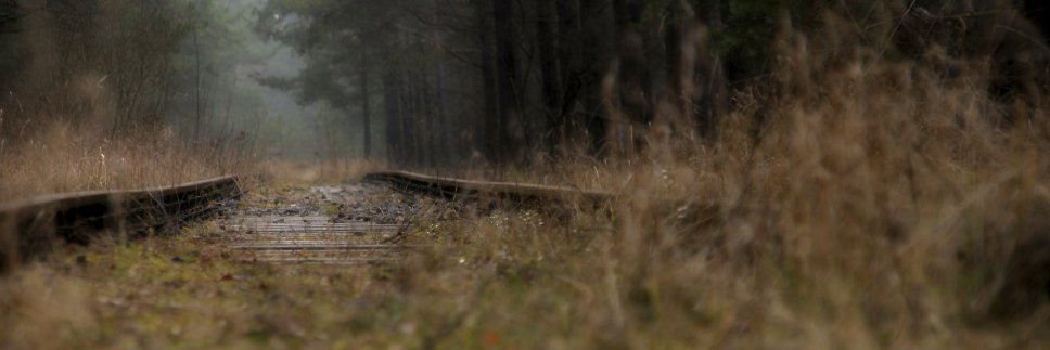 art_awski's profile banner image