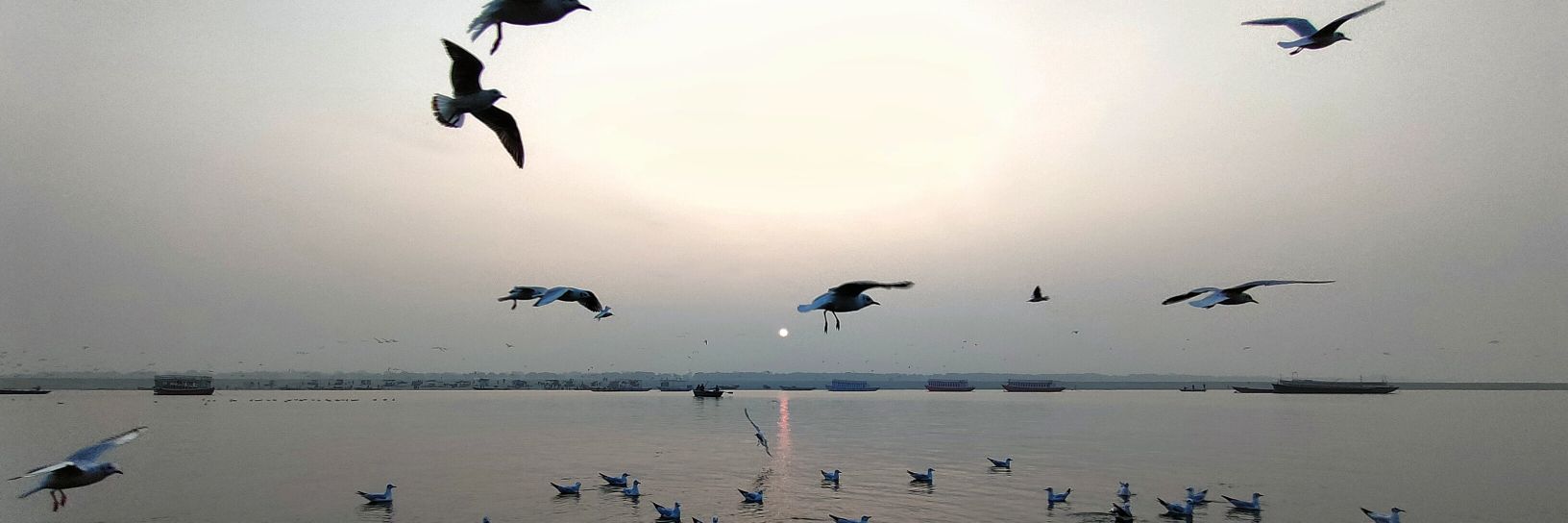 _ghosh_ayush_'s profile banner image