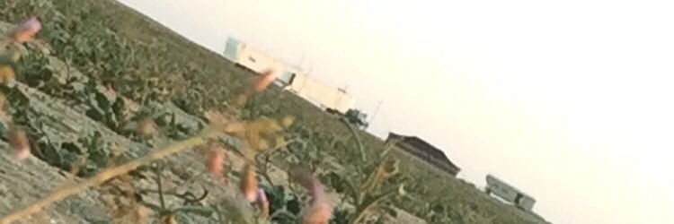 bnqaze's profile banner image