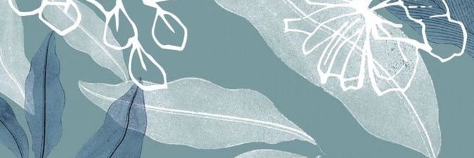 silvinapane's profile banner image