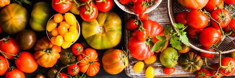 Wheatsfield Co-op banner