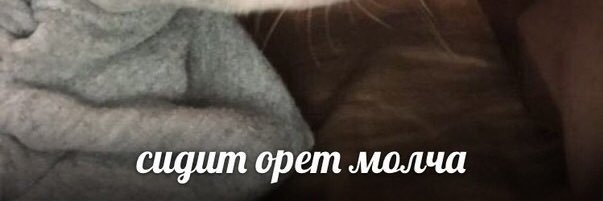 homefox's profile banner image