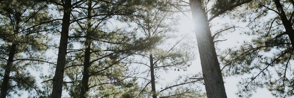 acheedu Profile Banner