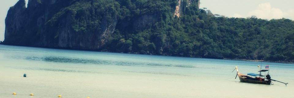 DANDIS banner