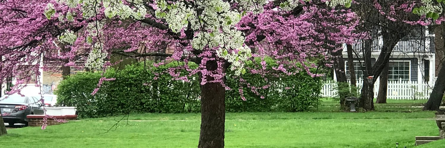 Mid-North QoL banner