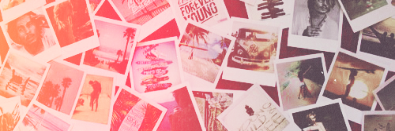 TamaraHumanes's profile banner image