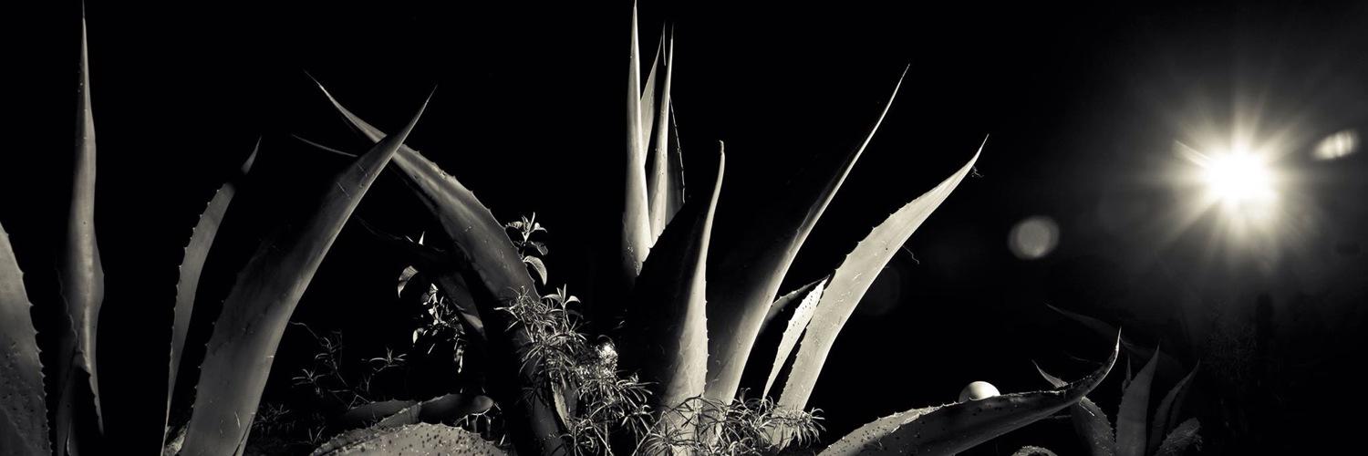 turbina_'s profile banner image