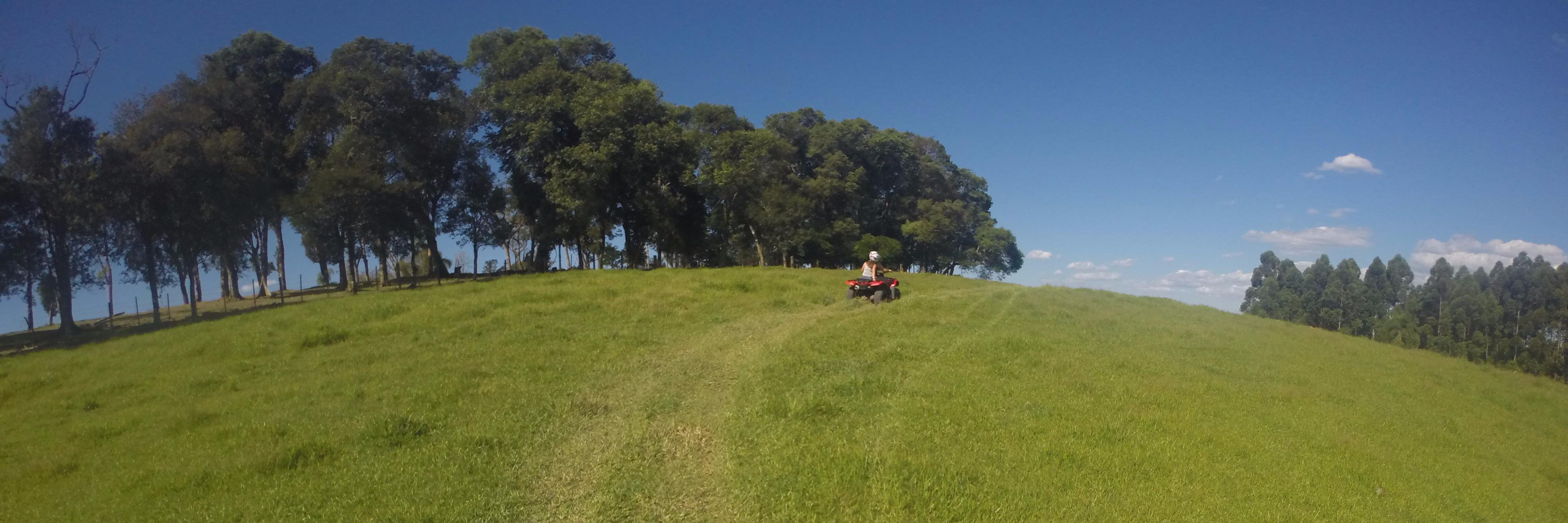gcagostini's profile banner image