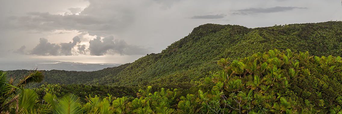 CCPaisaje's profile banner image
