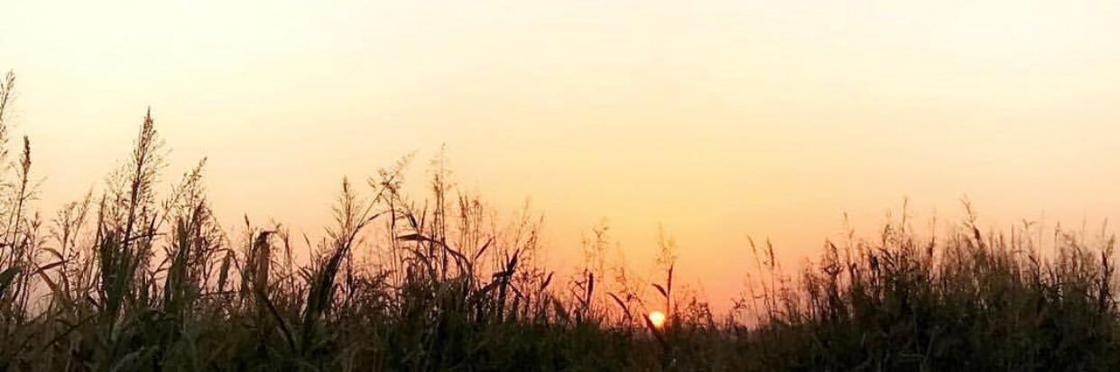 Hmd1_0's profile banner image