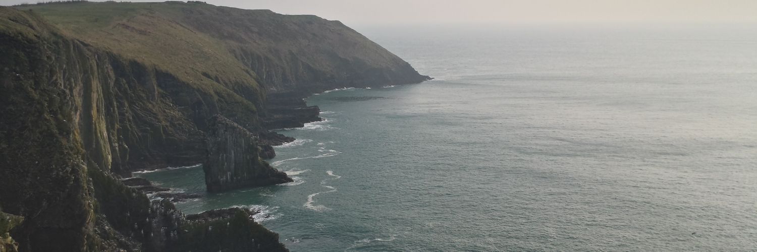 Laura Aoife Linehan banner