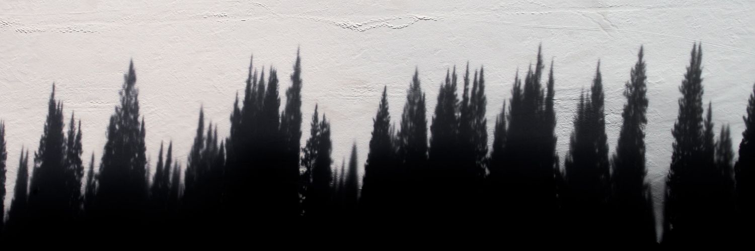 iCaeiro's profile banner image