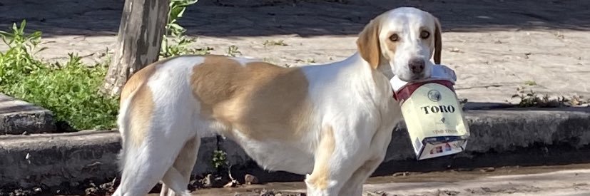 frantefobella's profile banner image