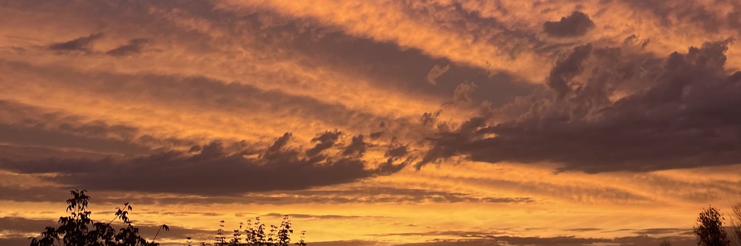 leroy_bathilde's profile banner image