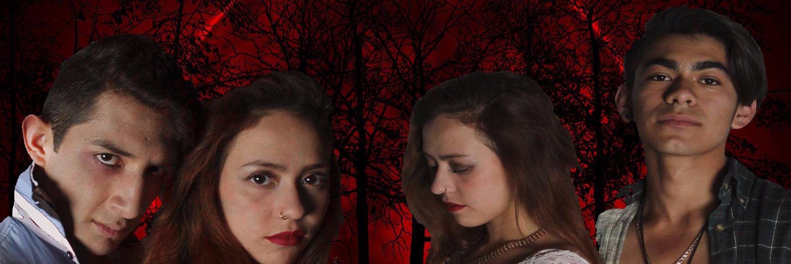 lunaroja00's profile banner image