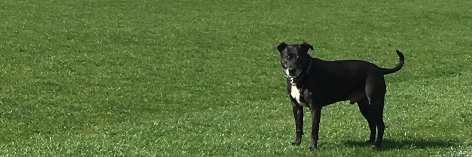 Tyrone Henderson banner