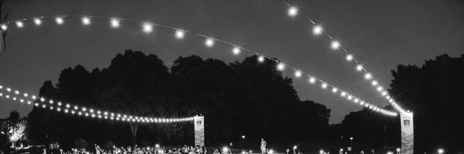 D S banner