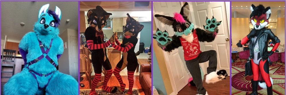 ❣️Hojozilla.bsky.social❣️🔜 FD banner