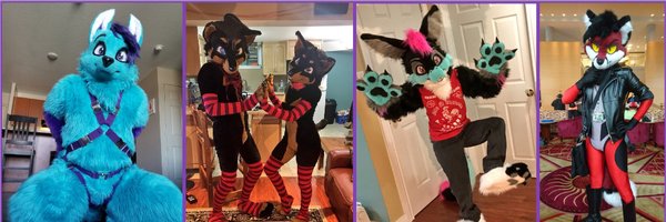 Hojozilla Profile Banner