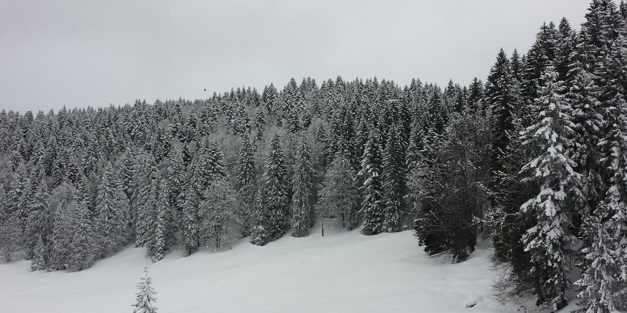 GMalod's profile banner image