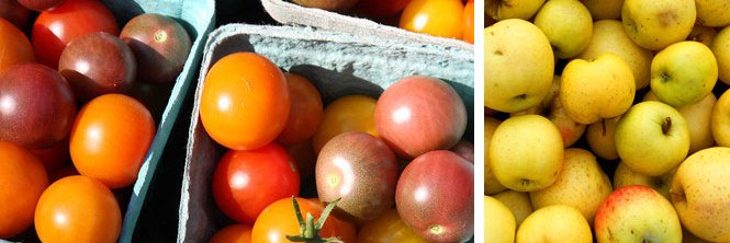 Indy Hunger Network banner