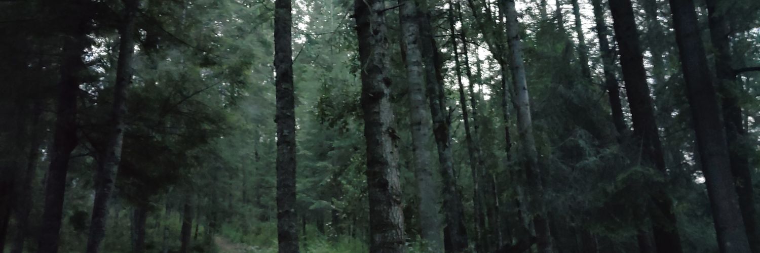 PattyFreinet's profile banner image