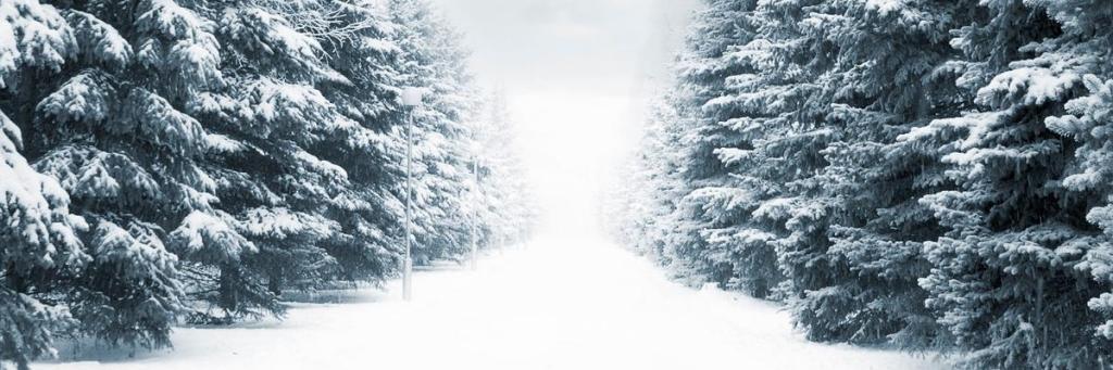AngieKaddy's profile banner image