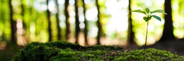 ocsenvironment's profile banner image