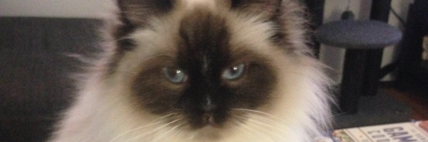 IFC4's profile banner image