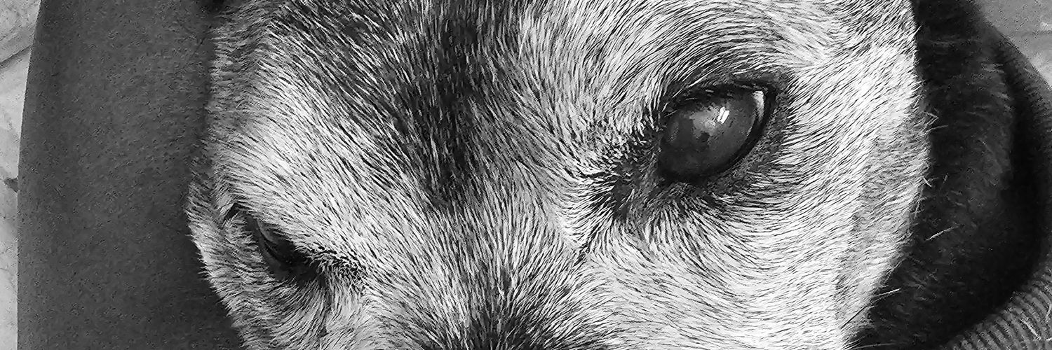 dee_rds's profile banner image