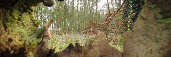 RodmartonSchool Profile Banner