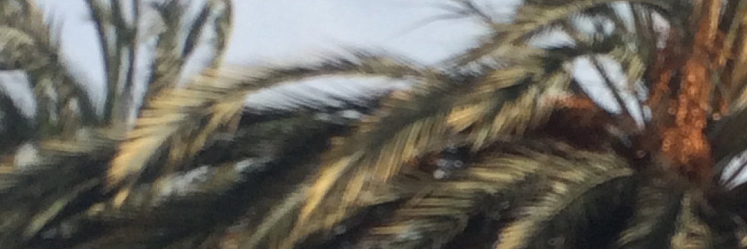 Todoorol's profile banner image