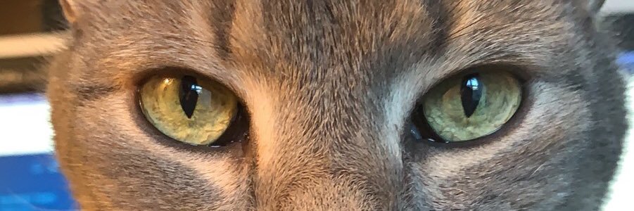 Supersoniqa's profile banner image