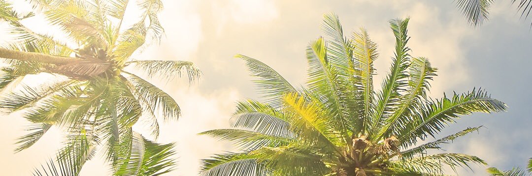 KatyLingham's profile banner image