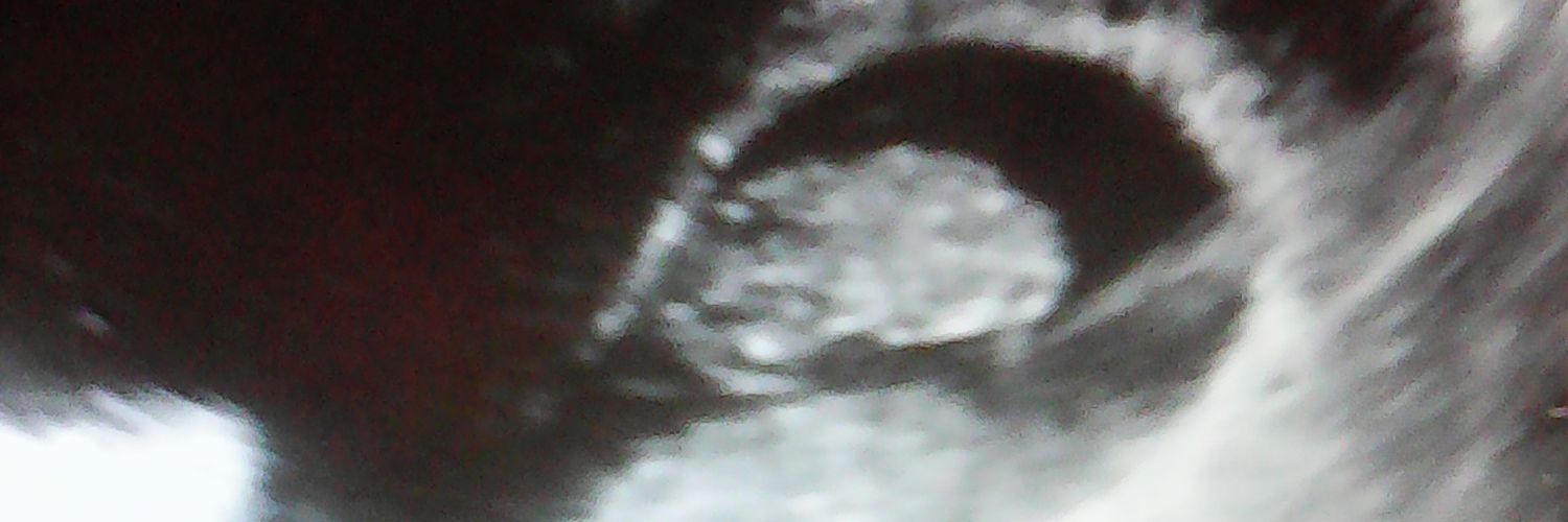 dug221's profile banner image