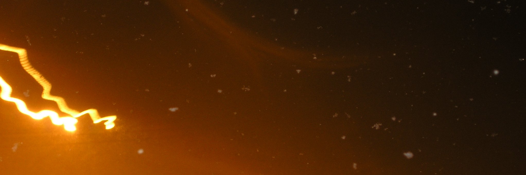 Lectures_Rion06's profile banner image