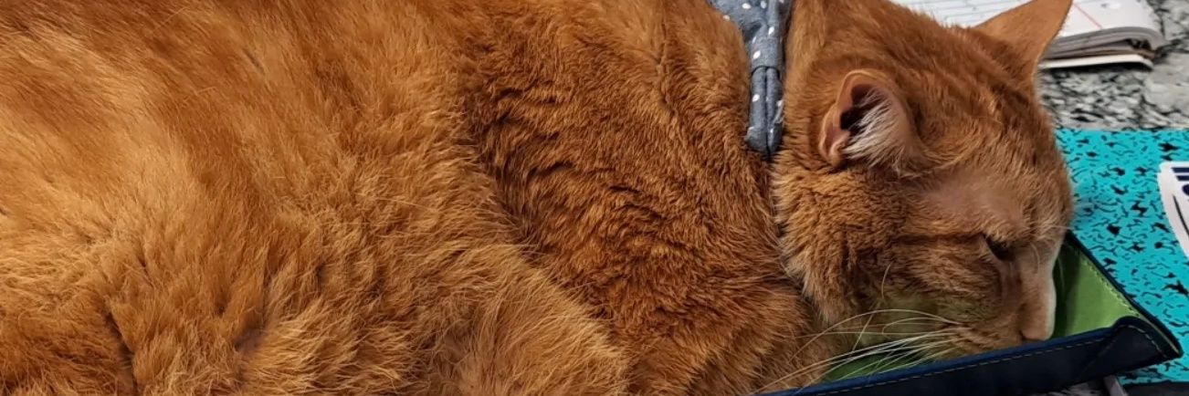 Over It, Honestly banner