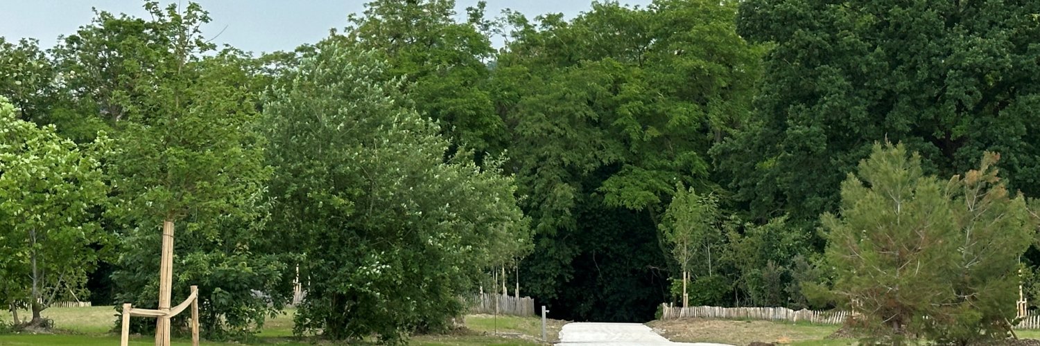 Tebaldini's profile banner image