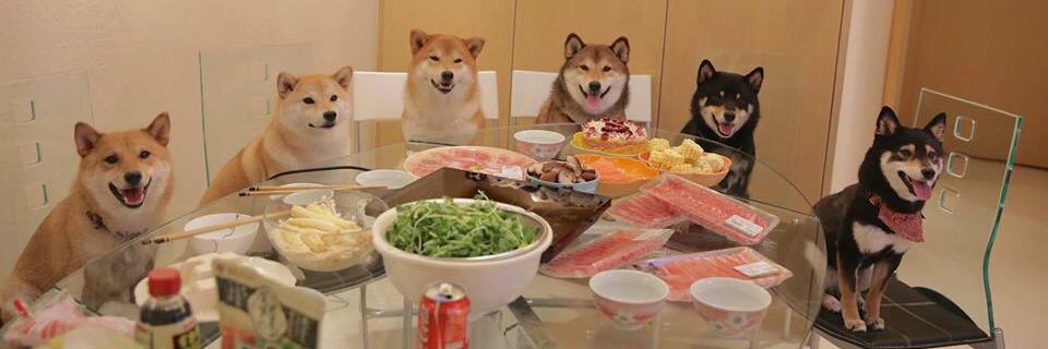 manigeexd's profile banner image