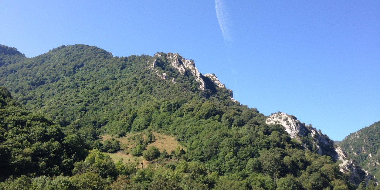 Pazalvarezcalvo's profile banner image