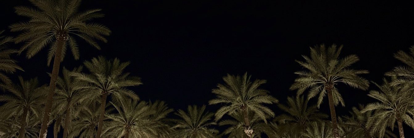 Vvu0__'s profile banner image
