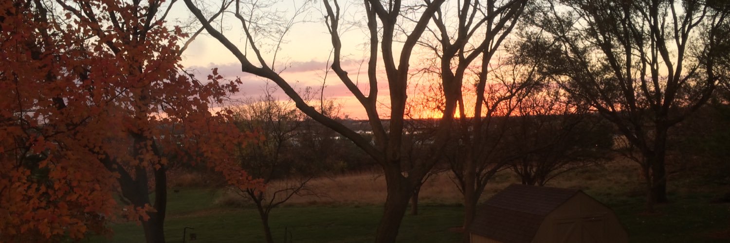 MarshaArens's profile banner image