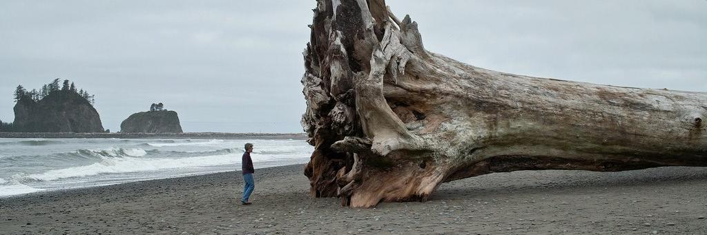TommyTwilson's profile banner image