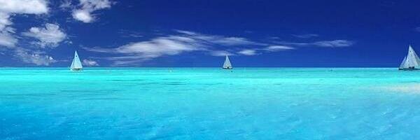 ExpressiveComms banner